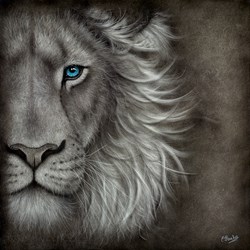 Endless Patience by Colin Banks - Original sized 29x29 inches. Available from Whitewall Galleries